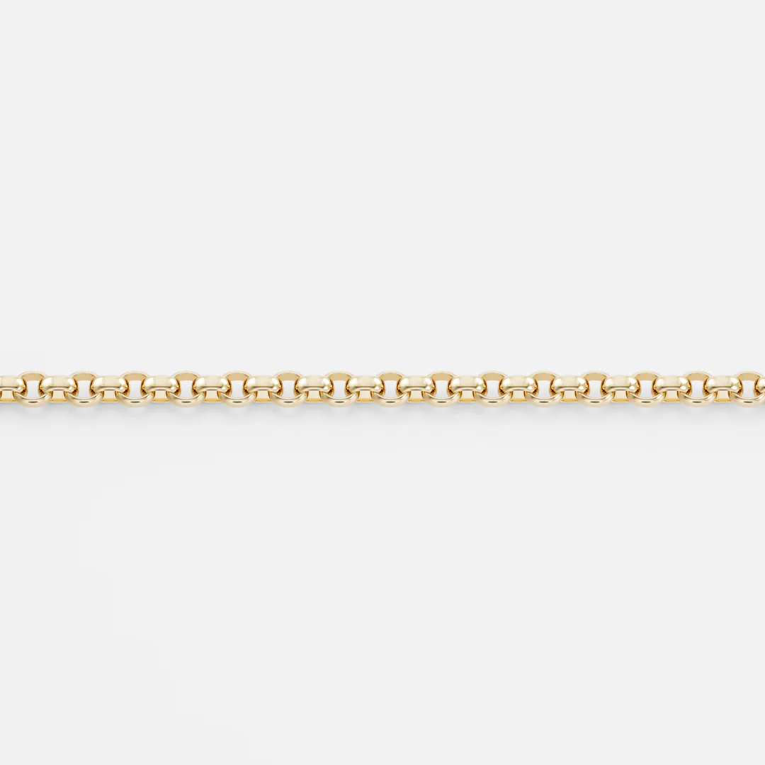 The Petite Oval Belcher Chain - Image 4